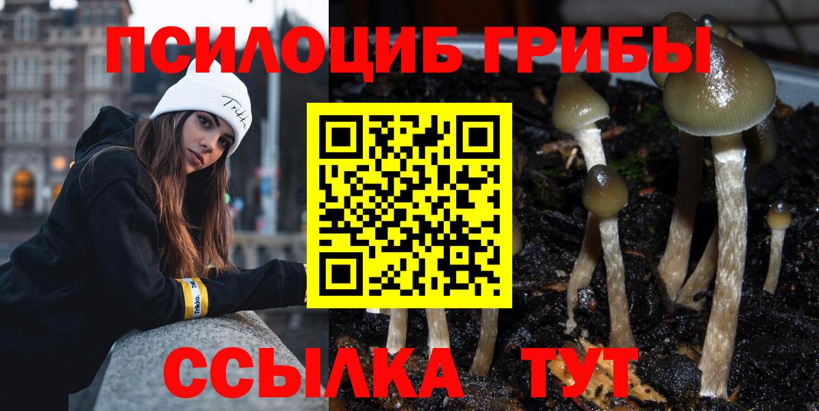 Балашиха  Псилоцибиновые грибы MAGIC MUSHROOMS  Псилоцибиновые грибы GOLDEN TEACHER  Вход с VPN 